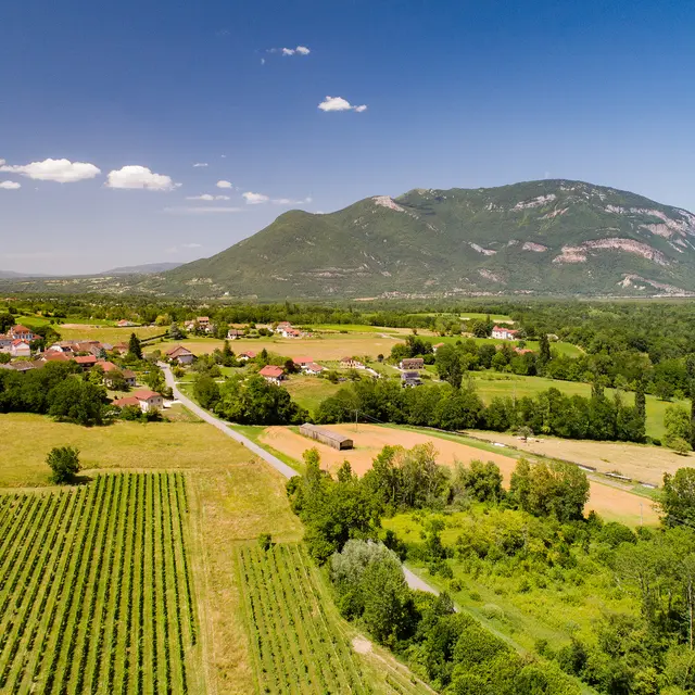 Randonnée pédestre : Le circuit des caves bugistes_Vongnes