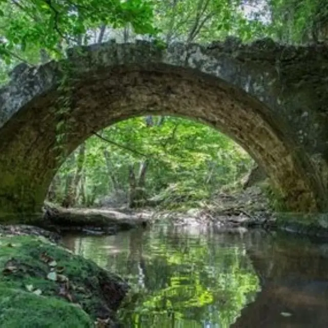 Forêt de Palayson, Bois du Rouet - deux sites Natura 2000_Saint-Paul-en-Forêt