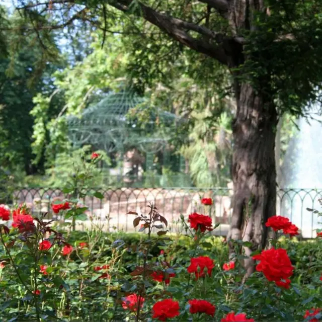 Le Pradet Côté Jardin : foire aux plants_Le Pradet