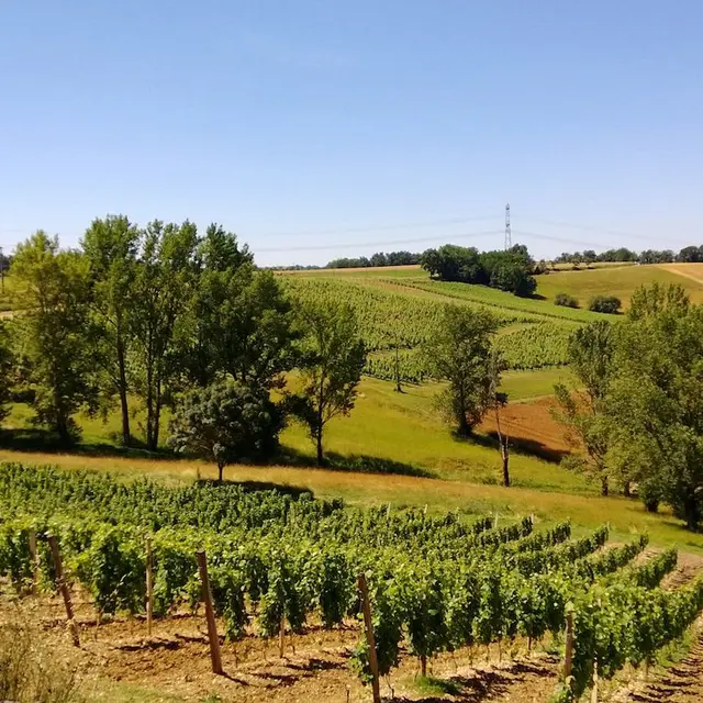 domaine des Thermes