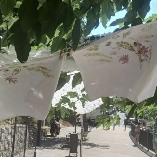 teinture et impression végétale_Tende