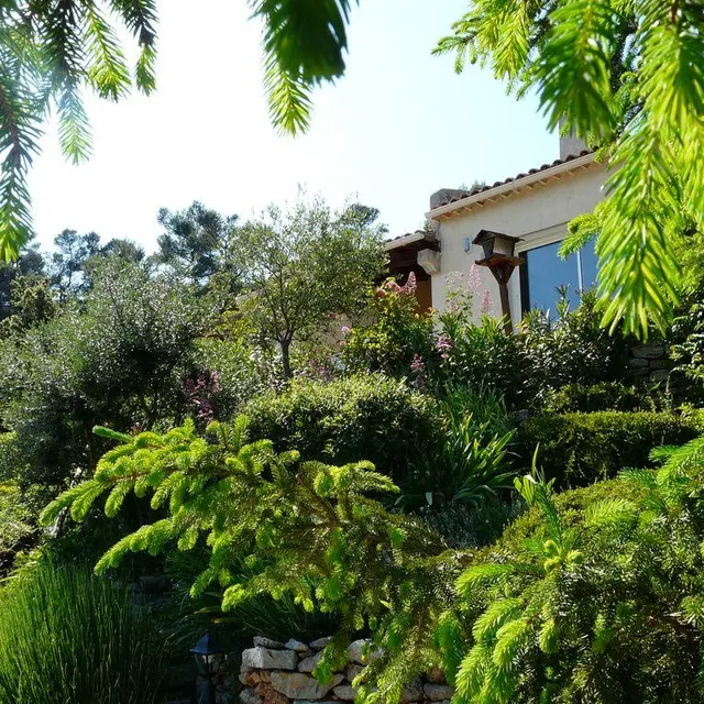 Lotus 8 - Méounes les Montrieux