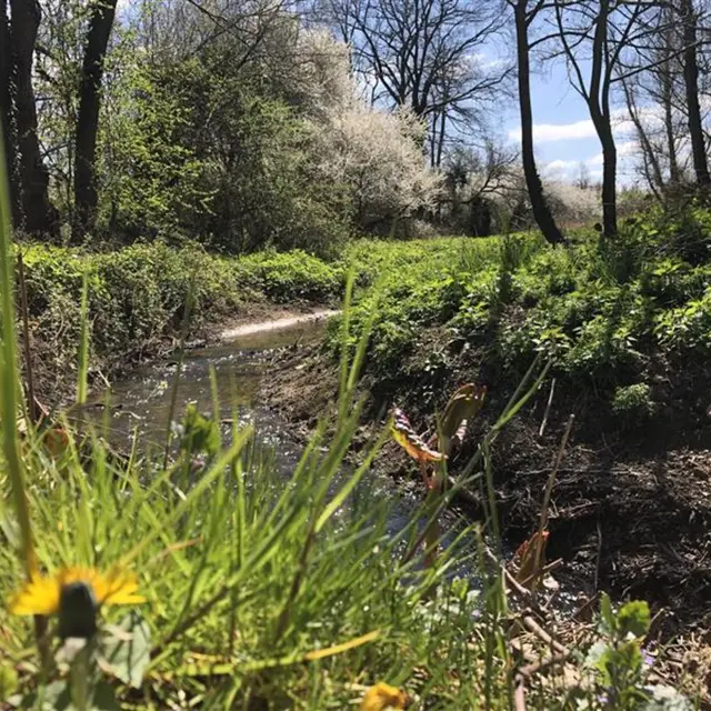 Sentier Saint Paul_Épercieux-Saint-Paul