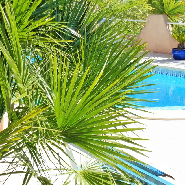 La piscine
