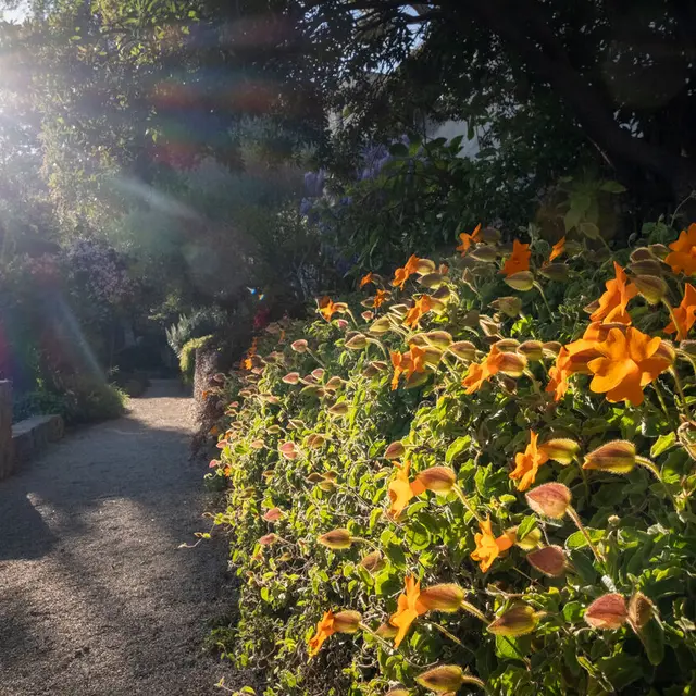 Parc Saint-Bernard_Hyères