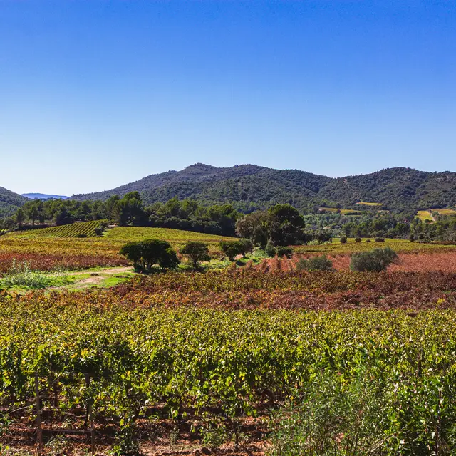 Domaine du Favanquet