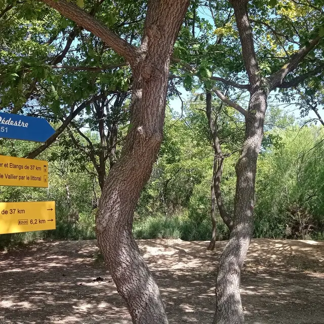 Sentier entre mer et étangs_Martigues