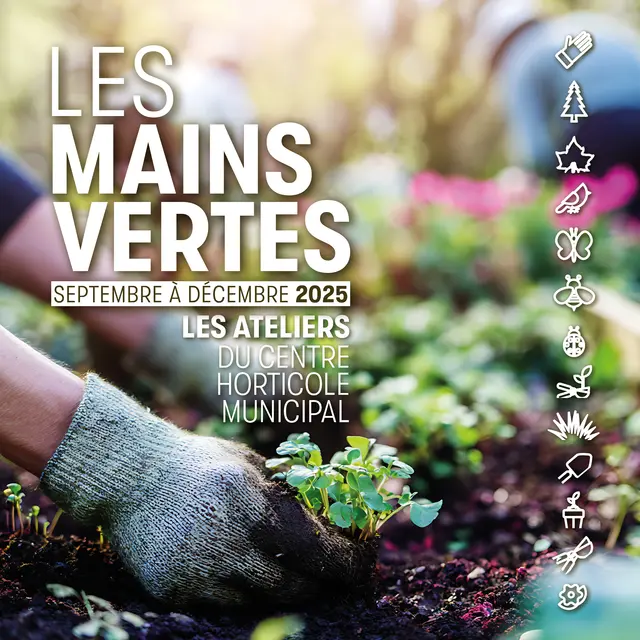 Chantier participatif : plantations d'arbres en forêt_Annecy