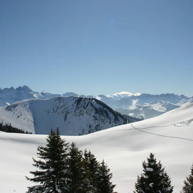 Col du Saix