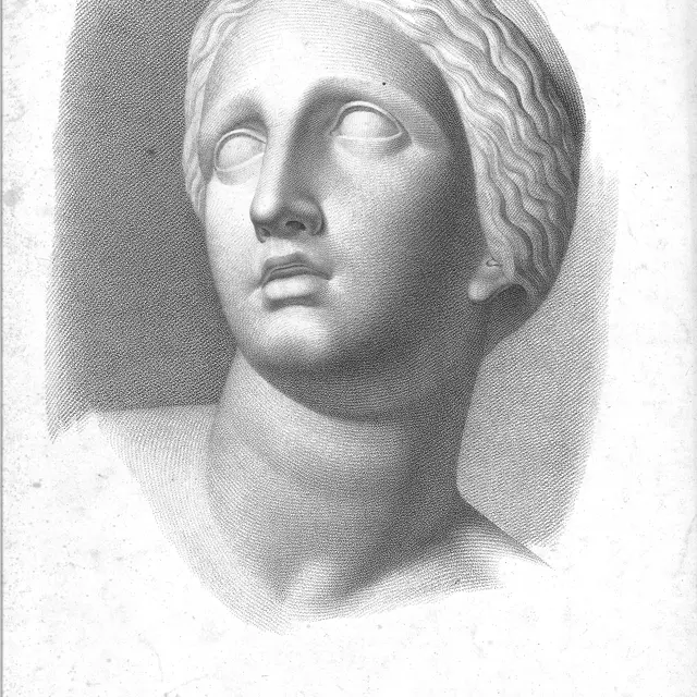 Lecture : Jocaste_Roanne