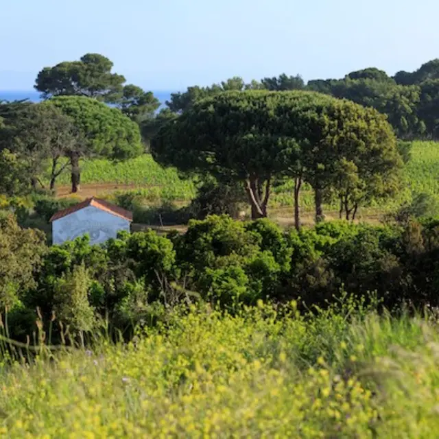 Atelier créatif en famille Villa Carmignac