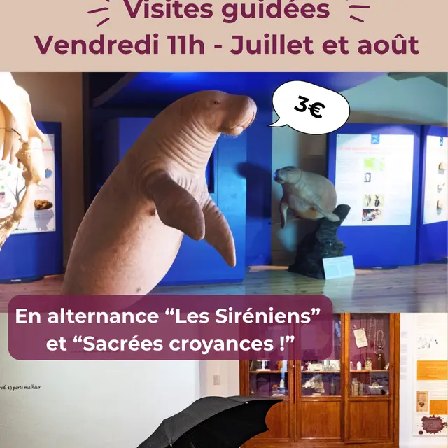 Visite guidée de l'exposition Sirènes et Fossiles_Castellane
