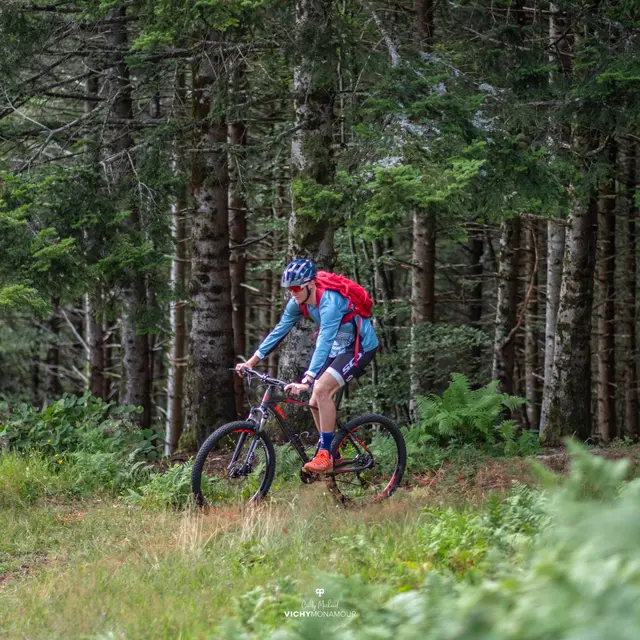 Circuit VTT n°88 à Lavoine