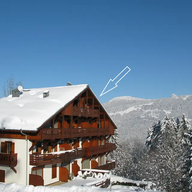 Résidence Panorama du Mont-Blanc