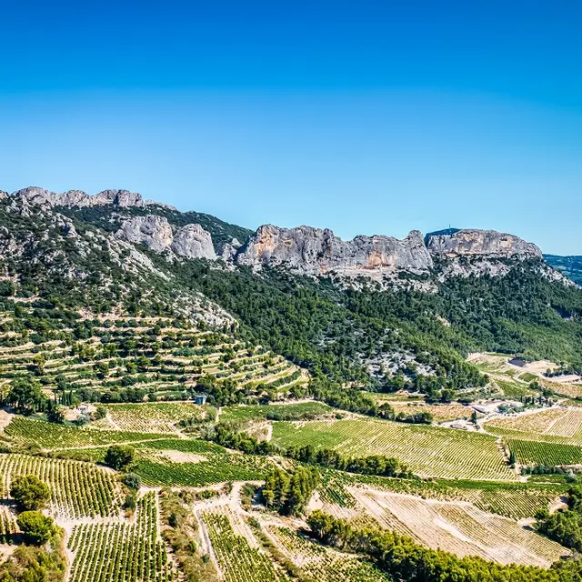 Masterclass Comprendre le Vin au Domaine de Coyeux