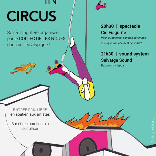 Dub in Circus #11