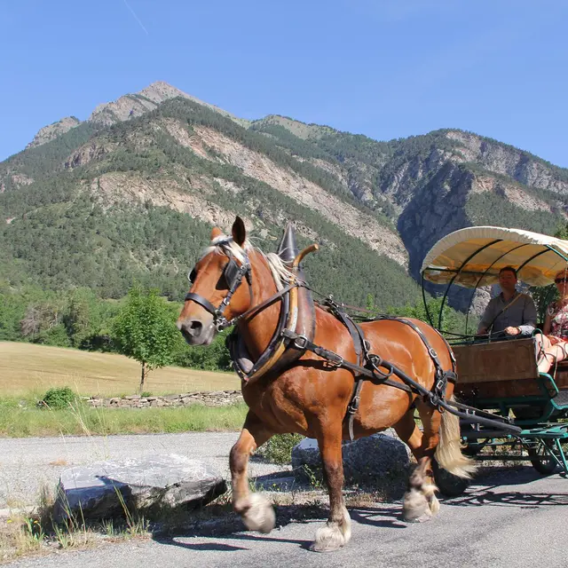 La Calèche des 3 Plumes - Jausiers