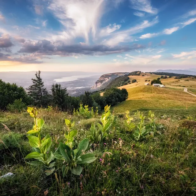 Visites panoramiques du Salève