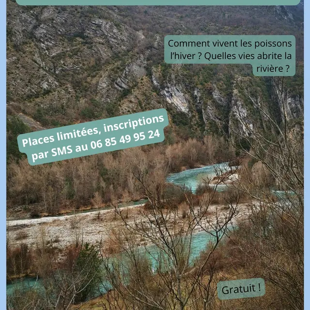 Balade naturaliste au bord du Verdon_Castellane