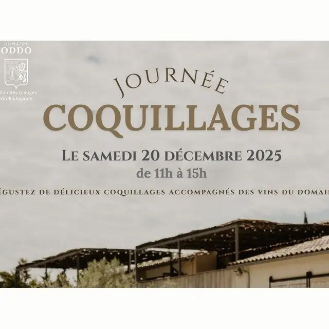 Journée coquillages au Domaine Vallon des Glauges_Eyguières_20.12.25