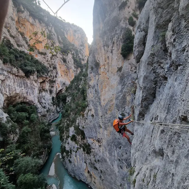 Via cordata main morte