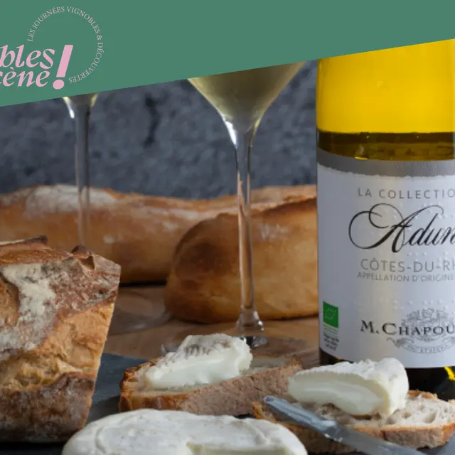 Atelier Vin & fromage - M.CHAPOUTIER_Tain-l'Hermitage
