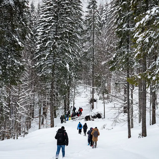 Randonnée pédestre encadrée sur le versant ensoleillé du Mont de Grange avec Martine Dupont_Abondance