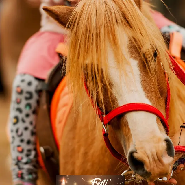 Festi'Pichoun  : gonflables, jeux en bois - Tours de poney_La Croix-Valmer