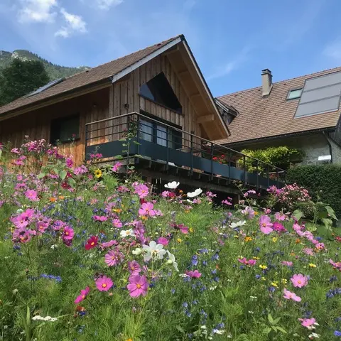 Chambre d'hôte Pampeline - St Pierre d'Entremont