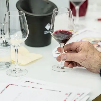 Atelier École des Vins - Initiation à la dégustation - Vallée du Rhône_Avignon