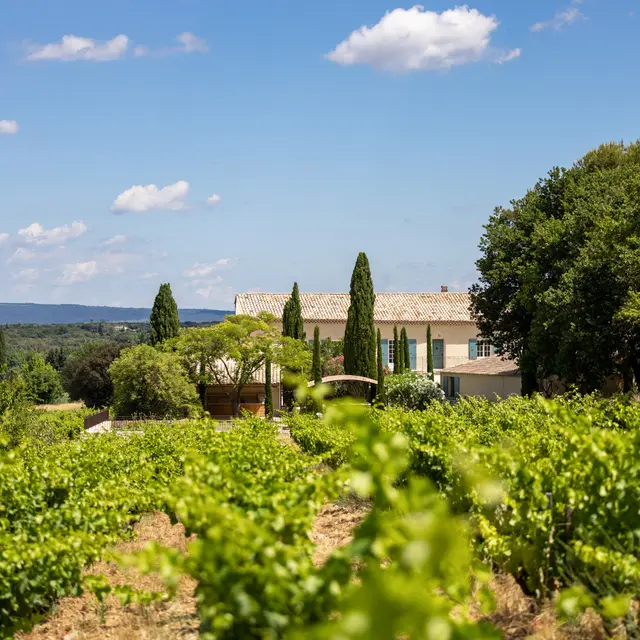 Domaine le Prieuré des Papes