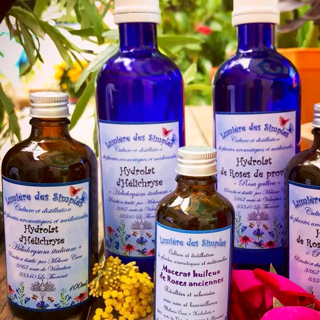 Herbaliste Lumière des Simples_Le Thoronet