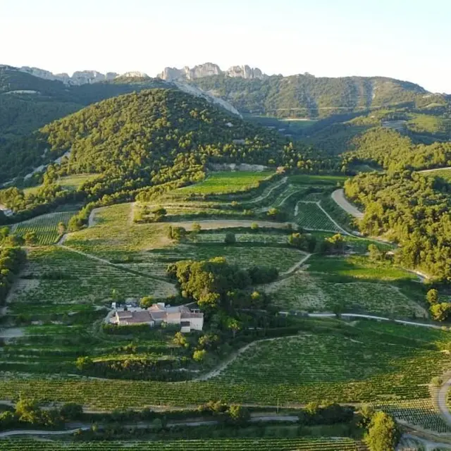 Domaine Paillère et Pied-Gû_Sablet