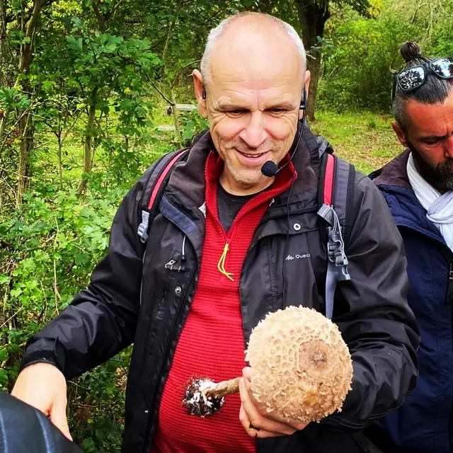 Stage : Cueillette de champignons_Écouflant