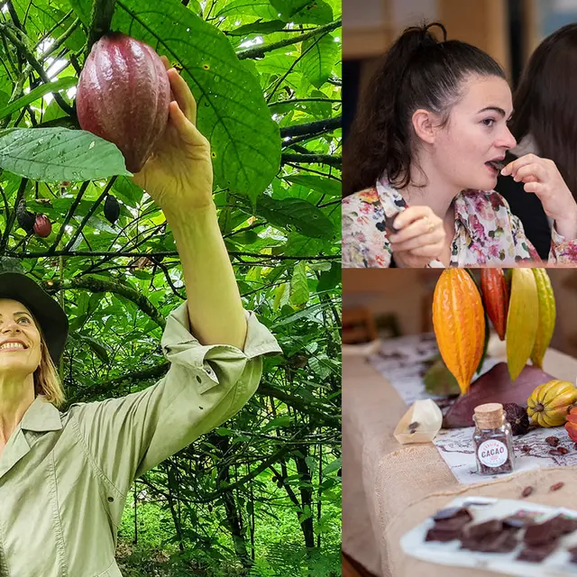 L'Expérience de dégustation immersive Cacao & Chocolat_Carrières-sur-Seine