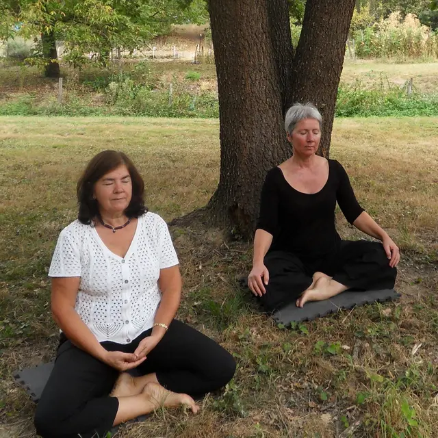 Mouvement et fluidité