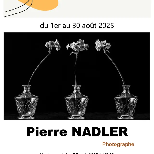 Expo 1 mois 1 artiste à la bibliothèque de La Flotte : Pierre Nadler_La Flotte