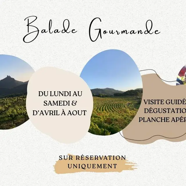 Balade gourmande au Domaine des Garances_Suzette