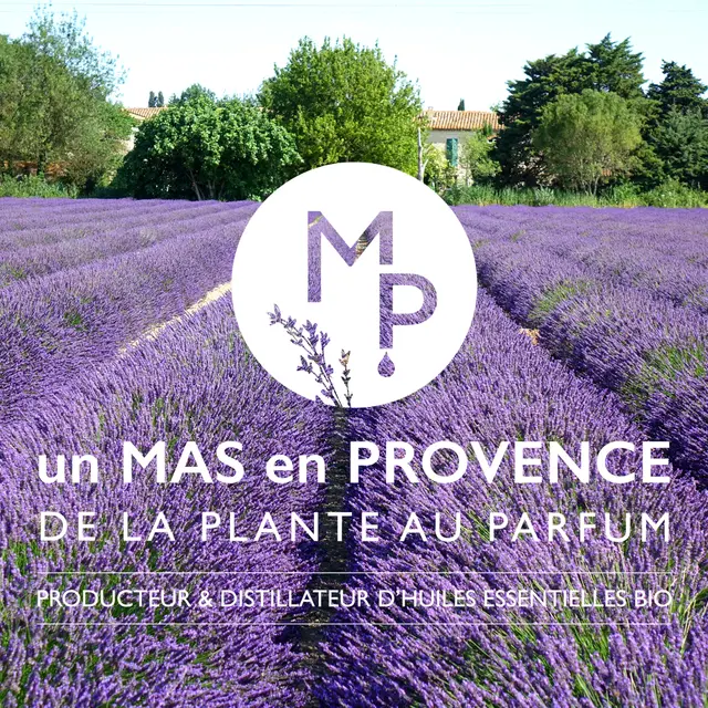 Un Mas en Provence