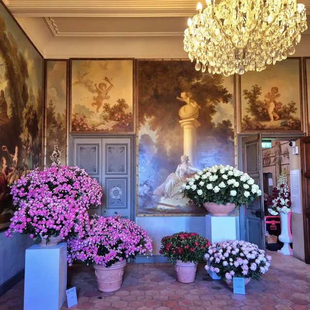 Expo Rose - 54e édition_Grasse