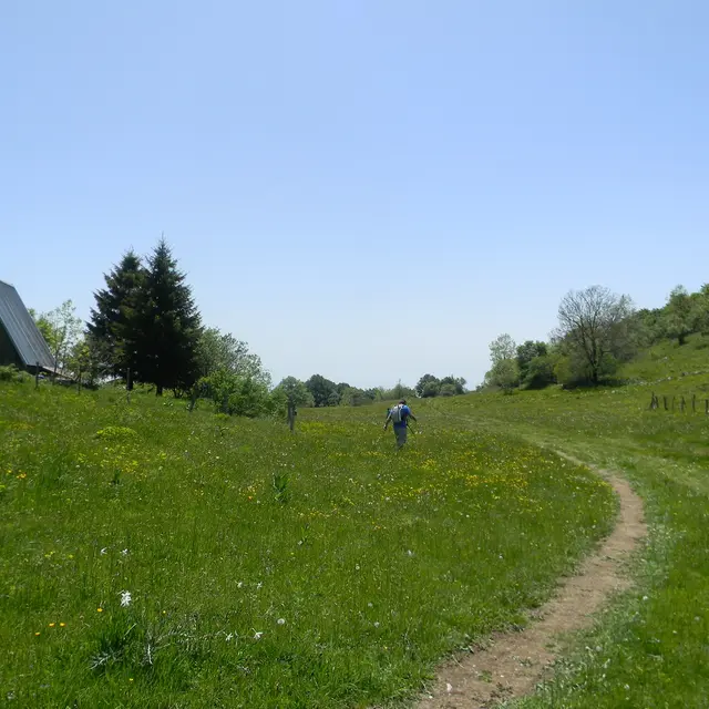 Circuit des Scioux - Grand Colombier