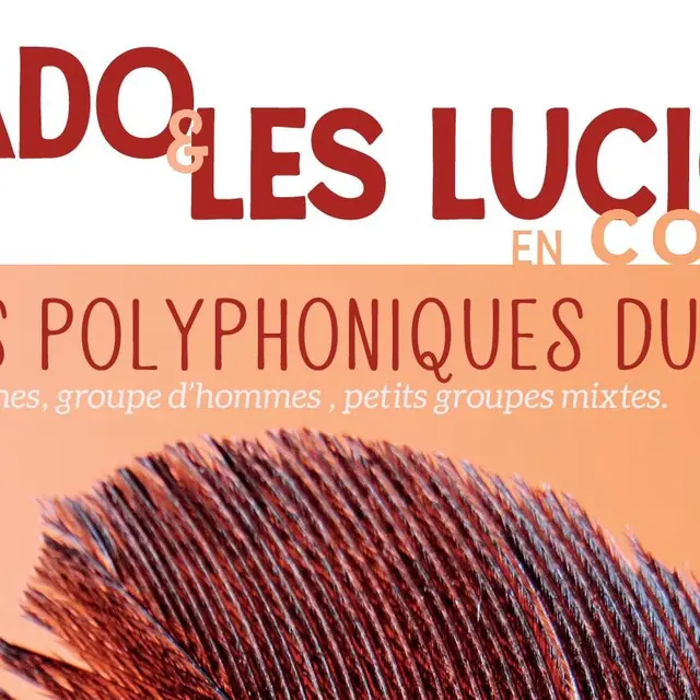 Mikado & les Lucioles en concert_La Faurie