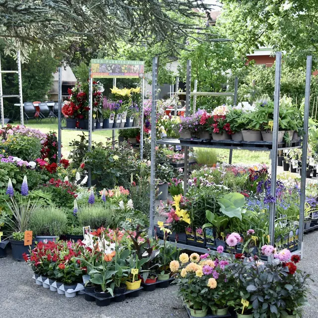 Fête du Printemps Anneyron