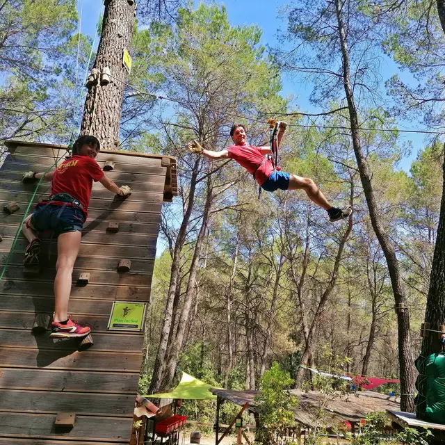 Flay Forest