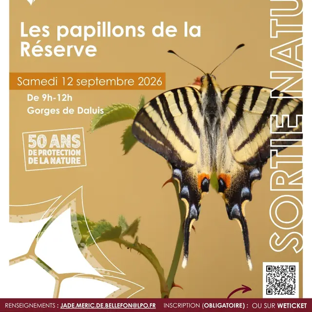 Les papillons de la Réserve_Daluis