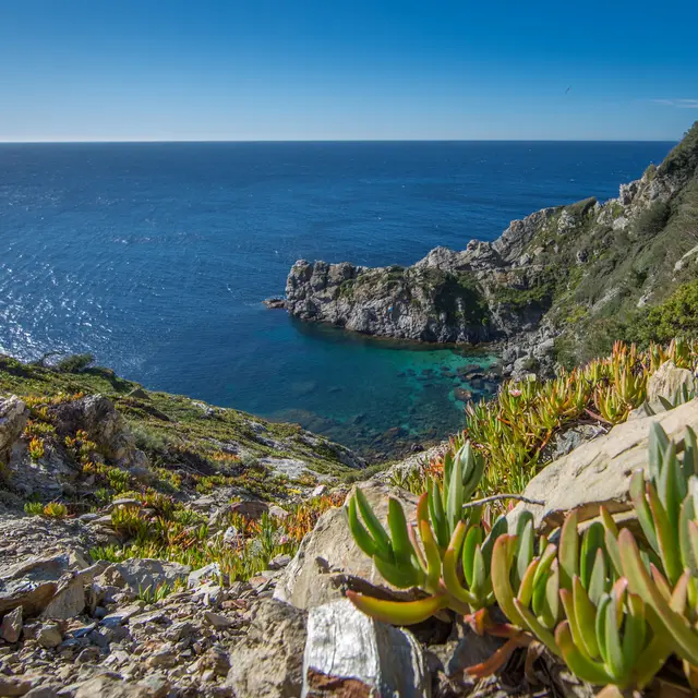 Falaises du Sud