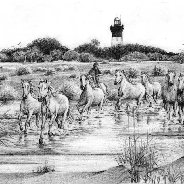 Exposition Camargue sauvage_Arles