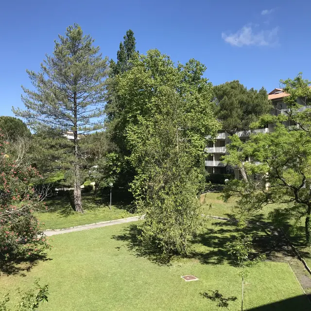 Vue depuis le balcon