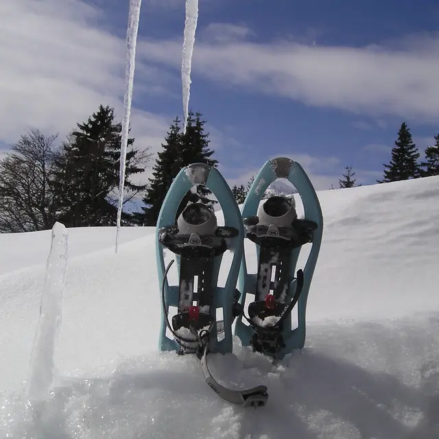 Sortie raquettes : Mont Platard_Combloux