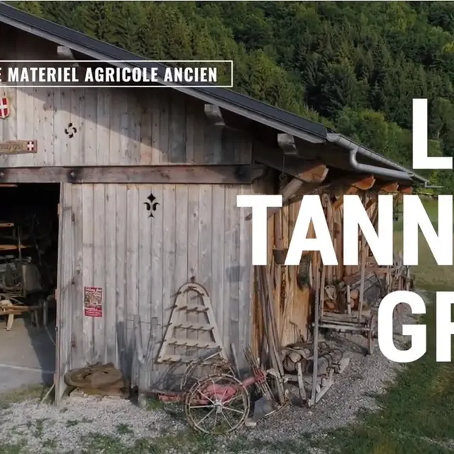 Lou Tannay Gris